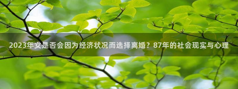 PG电子平台在线开户：2023年女是否会因为经济状况而选择离婚？87年的社会现实
