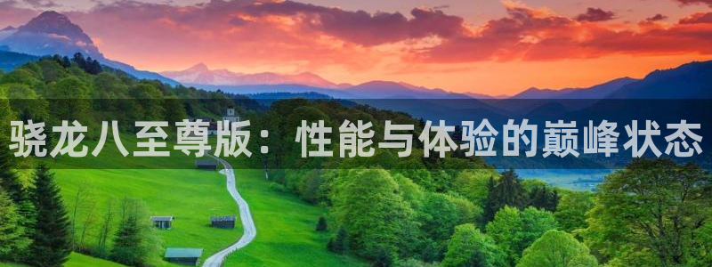 PG电子体育4：骁龙八至尊版：性能与体验的巅峰状态