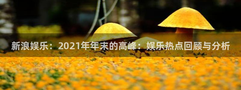 PG电子2体育：新浪娱乐：2021年年末的高峰：娱乐热点回顾与分析