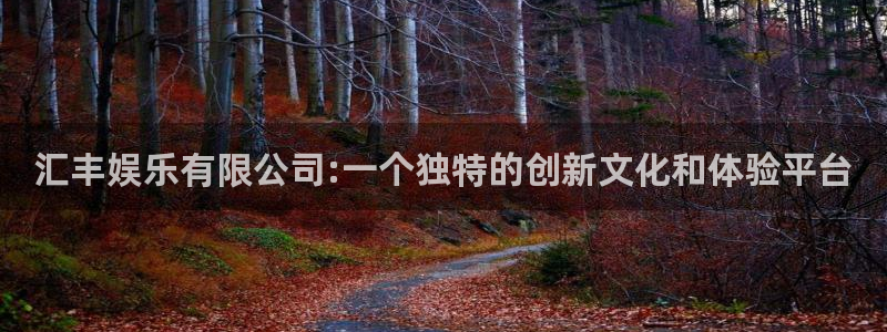 PG电子4平台注册：汇丰娱乐有限公司:一个独特的创新文化和体验平台