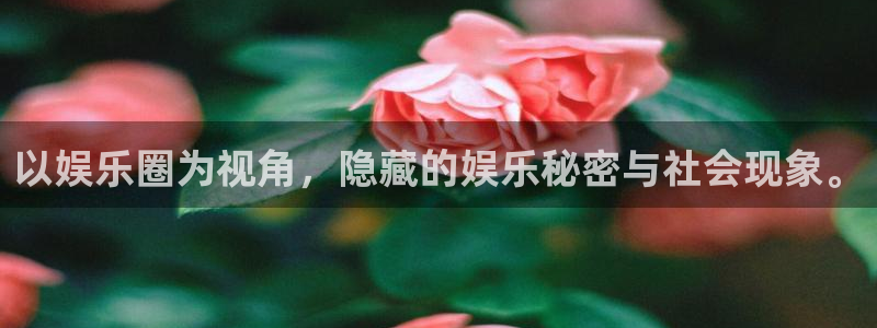 PG电子招商：以娱乐圈为视角，隐藏的娱乐秘密与社会现象。