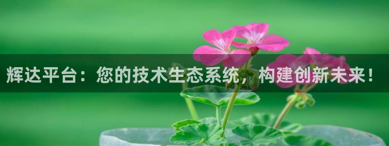 PG电子2平台注册：辉达平台：您的技术生态系统，构建创新未来！