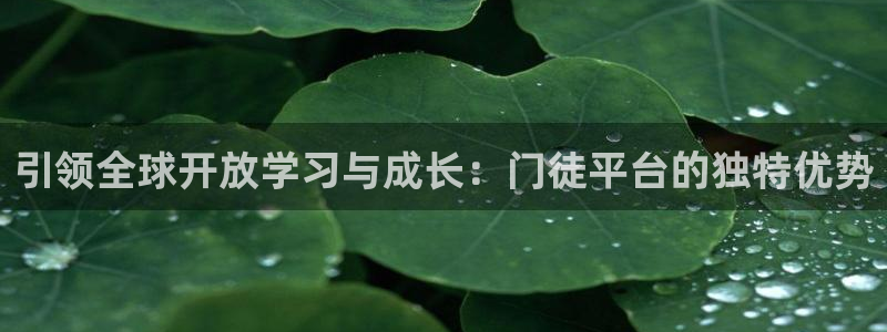 PG电子登录界面入口：引领全球开放学习与成长：门徒平台的独特优势