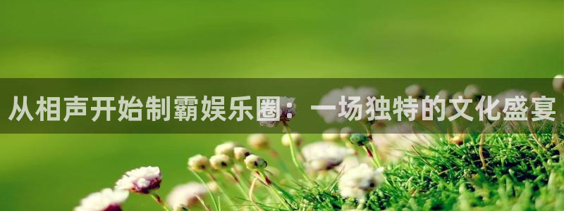 PG电子体育凯捷平台注册：从相声开始制霸娱乐圈：一场独特的文化盛宴