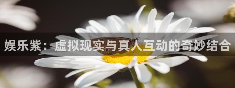 PG电子3登录：娱乐紫：虚拟现实与真人互动的奇妙结合