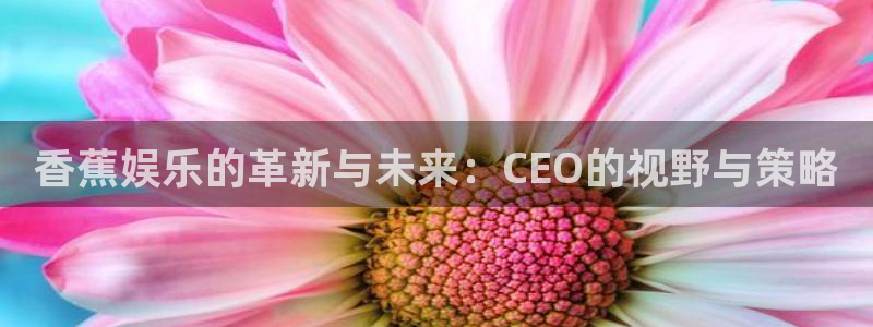 PG电子体育官网：香蕉娱乐的革新与未来：CEO的视野与策略