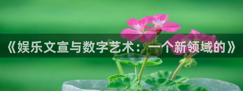PG电子2平台注册：《娱乐文宣与数字艺术：一个新领域的》