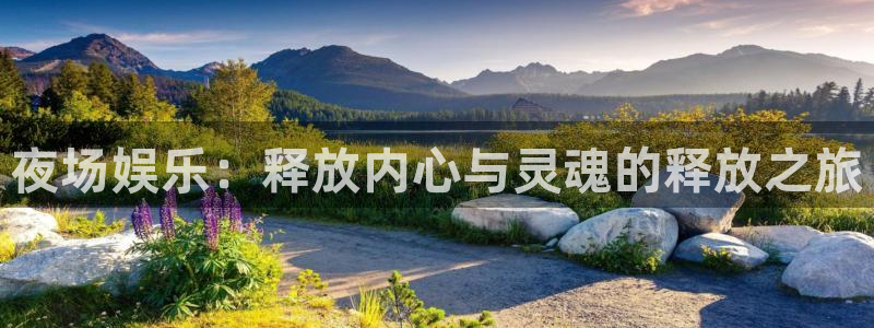 PG电子登录注册：夜场娱乐：释放内心与灵魂的释放之旅
