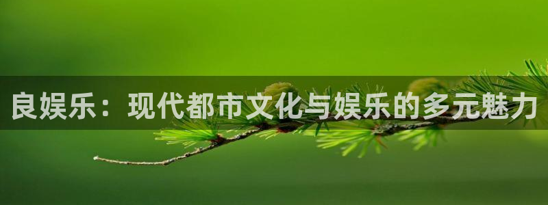PG电子能源