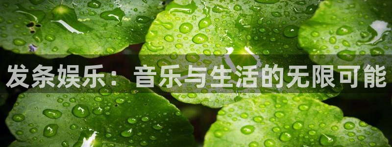 PG电子3官网：发条娱乐：音乐与生活的无限可能