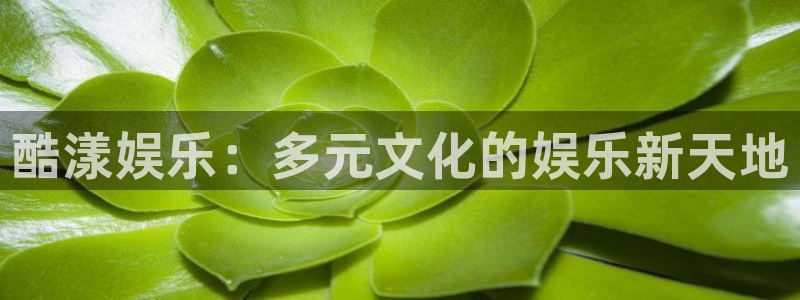 PG电子代理注册官网入口：酷漾娱乐：多元文化的娱乐新天地