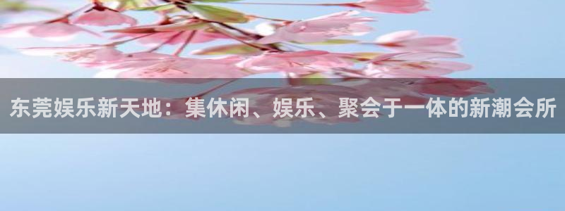 PG电子2平台登录：东莞娱乐新天地：集休闲、娱乐、聚会于一体的新潮会所