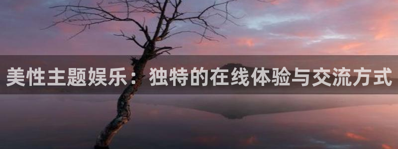 PG电子5招商：美性主题娱乐：独特的在线体验与交流方式