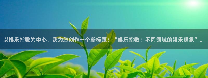 PG电子电子有限公司：以娱乐指数为中心，我为您创作一个新标题：“娱乐指数：不同领