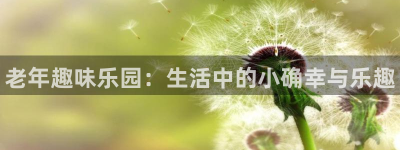 PG电子2平台：老年趣味乐园：生活中的小确幸与乐趣