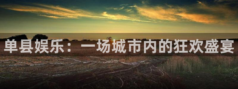 PG电子3：单县娱乐：一场城市内的狂欢盛宴